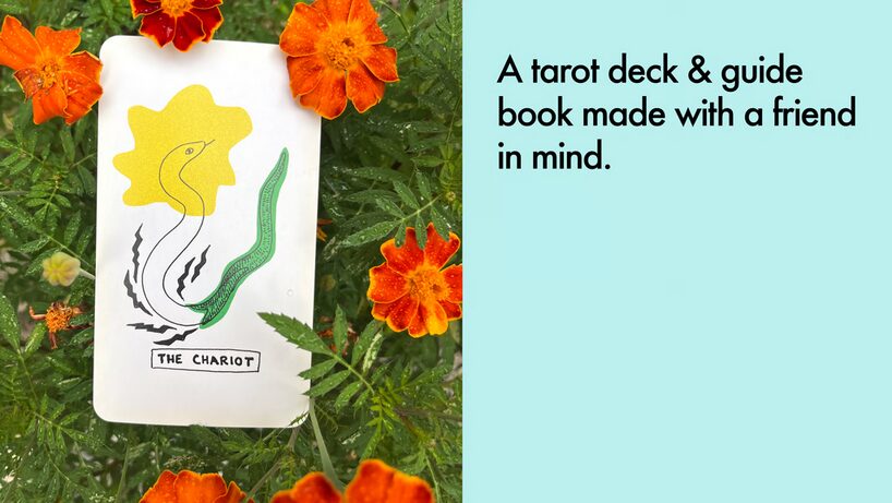 Kickstarter Campaign Spotlight: Two Bugs Tarot